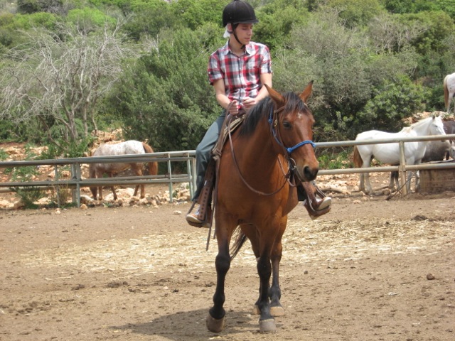 Melvin te paard