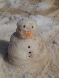 Sneeuwpop