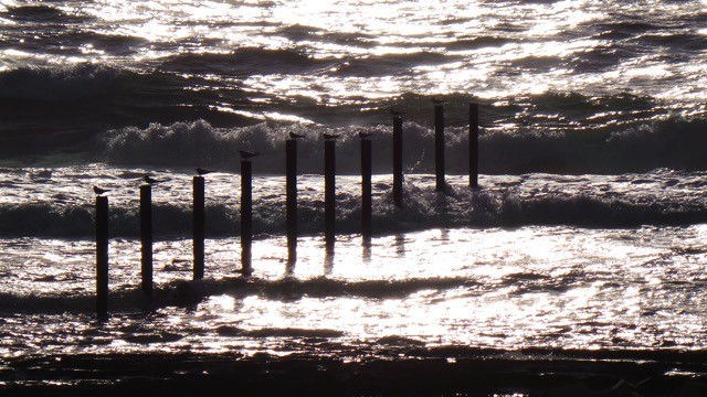 De zee