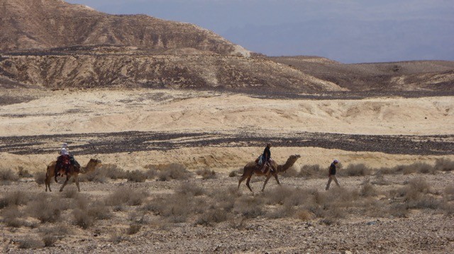 Karavaan