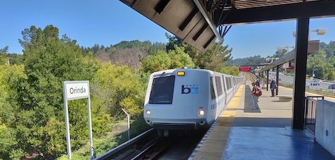 De Bart