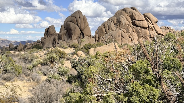 Rotsformaties in Joshua Tree National Park